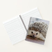 Baby egel notitieboek (Binnen)