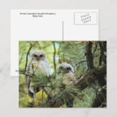 Baby Eigenaars Briefkaart (Voorkant / Achterkant)