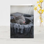 Baby El Kaart (Gele Bloem)