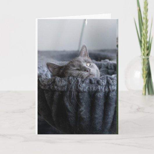 Baby El Kaart (Voorkant)