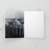 Baby El Kaart (Binnen)