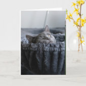 Baby El Kaart (Gele Bloem)