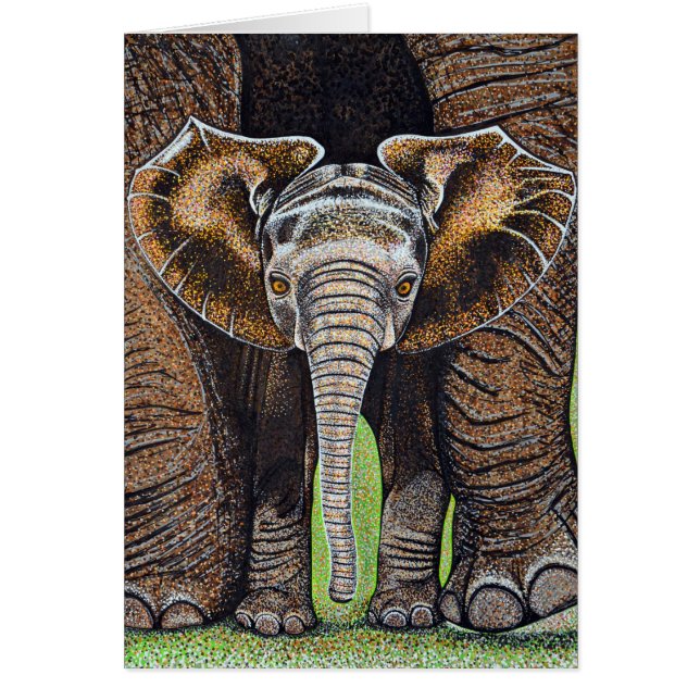 Baby Elephant (Voorkant)