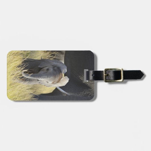 Baby Elephant Bagagelabel (Voorkant horizontaal)