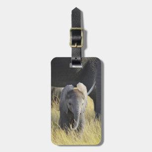 Baby Elephant Bagagelabel