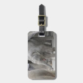 BABY ELEPHANT BAGAGELABEL (Voorkant verticaal)