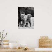 Baby Elephant Black en White Wildlife Poster (Keuken)