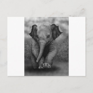 Baby Elephant Briefkaart