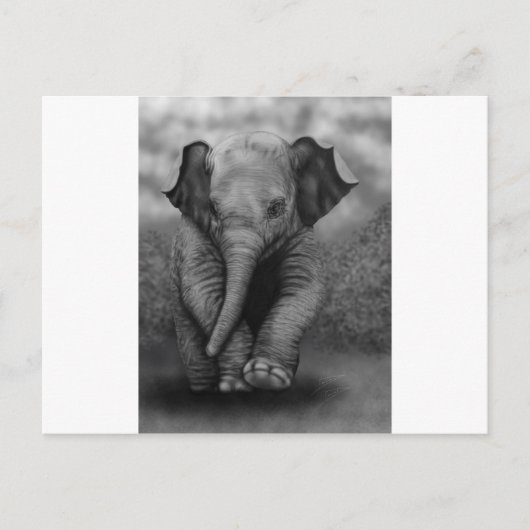 Baby Elephant Briefkaart (Voorkant)