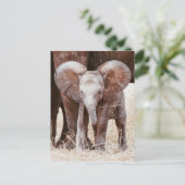 Baby Elephant Cute African Elephant met mama Briefkaart (Staand voorkant)