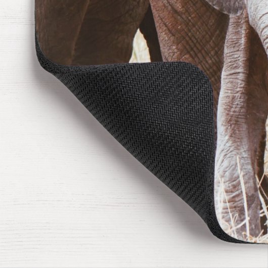 Baby Elephant Cute African Elephant met mama Muismat (Hoek)