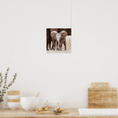 Baby Elephant Cute African Elephant met mama Poster (Keuken)