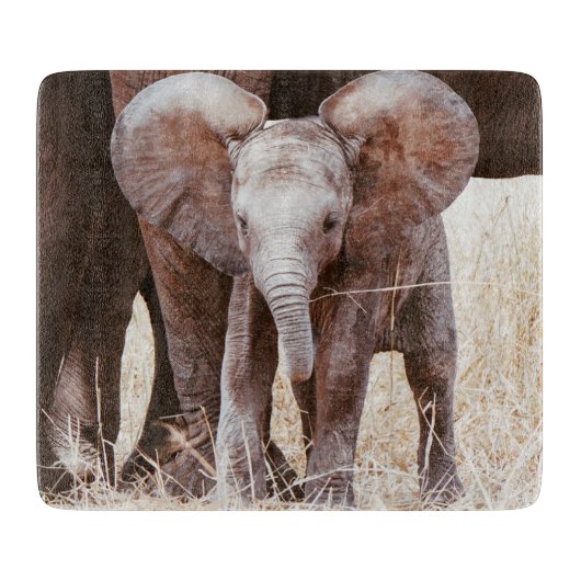 Baby Elephant Cute African Elephant met mama Snijplank (Voorkant)