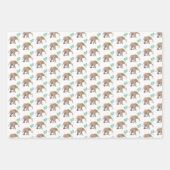 Baby Elephant green & blue balloon Set x3.  Inpakpapier Vel (Voorkant)