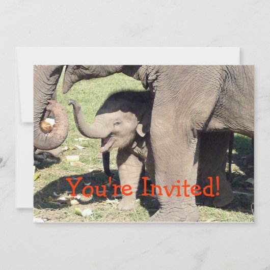 Baby Elephant Invitation Sjabloon Kaart (Voorkant)