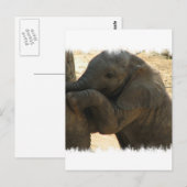 Baby Elephant-kaart Briefkaart (Voorkant / Achterkant)