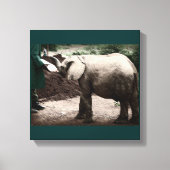 Baby Elephant - Kenia Canvas Afdruk (Voorkant)