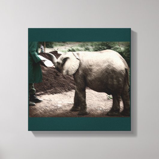Baby Elephant - Kenia Canvas Afdruk (Voorkant)
