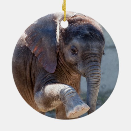 Baby Elephant Keramisch Ornament (Achterkant)