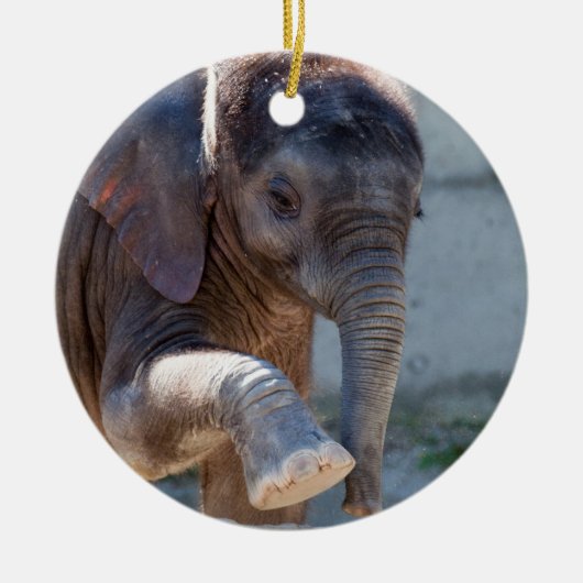 Baby Elephant Keramisch Ornament (Voorkant)