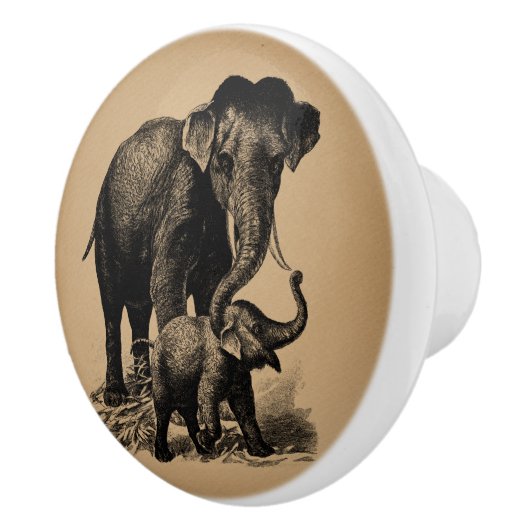 Baby Elephant  kunst Keramische Knop (Rechts)