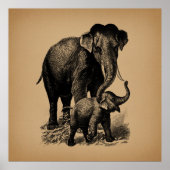 Baby Elephant  kunst Poster (Voorkant)
