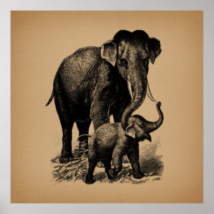 Baby Elephant  kunst Poster