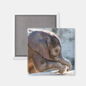 Baby Elephant Magneet (Voorkant / Achterkant)