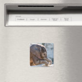 Baby Elephant Magneet (Insitu (Vaatwasser))