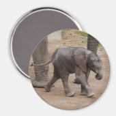 Baby Elephant Magneet (Voorkant / Achterkant)