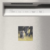 Baby Elephant Magneet (Insitu (Vaatwasser))