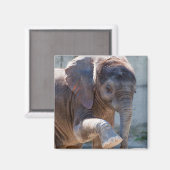 Baby Elephant Magneet (Voorkant / Achterkant)