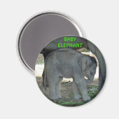 Baby Elephant Magnet (Voorkant / Achterkant)