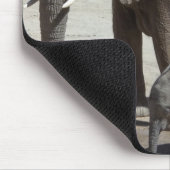 Baby Elephant met mama Muismat (Hoek)