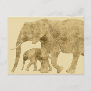 Baby Elephant met moeder  Briefkaart