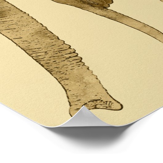 Baby Elephant met moeder Poster (Hoek)