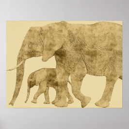 Baby Elephant met moeder Poster