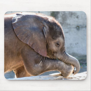 Baby Elephant Muismat