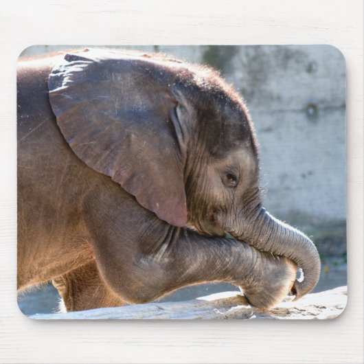 Baby Elephant Muismat (Voorkant)