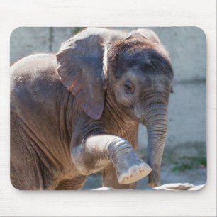 Baby Elephant Muismat