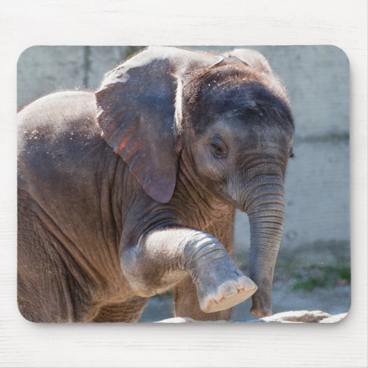 Baby Elephant Muismat (Voorkant)
