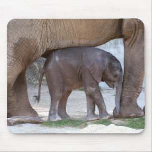 Baby Elephant Muismat