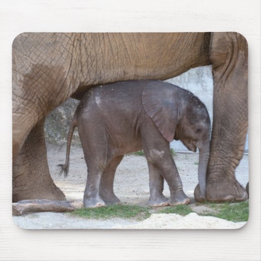 Baby Elephant Muismat (Voorkant)