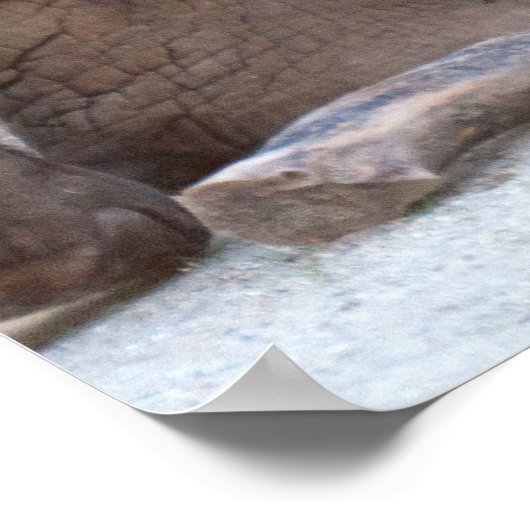 Baby Elephant Poster (Hoek)