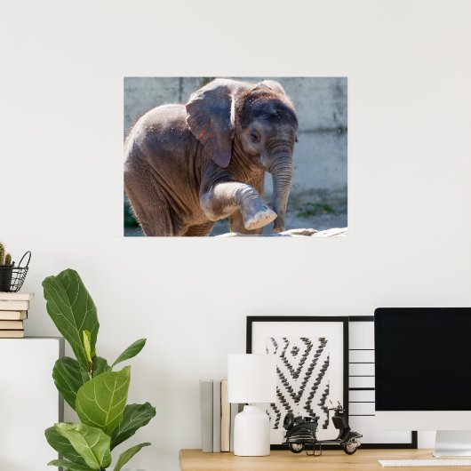 Baby Elephant Poster (Thuiskantoor)