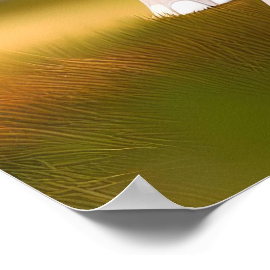 Baby Elephant Poster (Hoek)