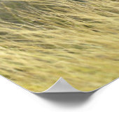 Baby Elephant Poster (Hoek)