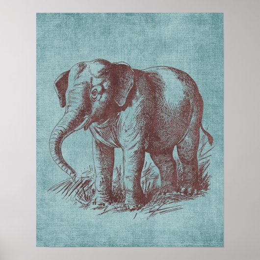  Baby Elephant Poster (Voorkant)