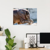Baby Elephant Poster (Thuiskantoor)