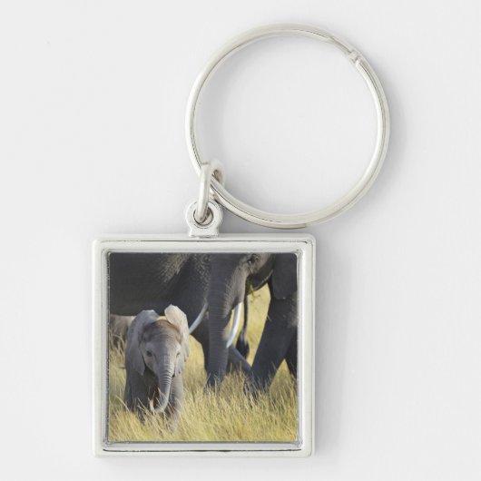 Baby Elephant Sleutelhanger (Voorkant)